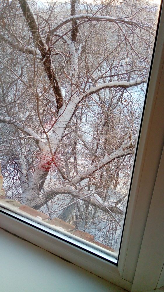 Как родилась Белоснежка, а эти мои только