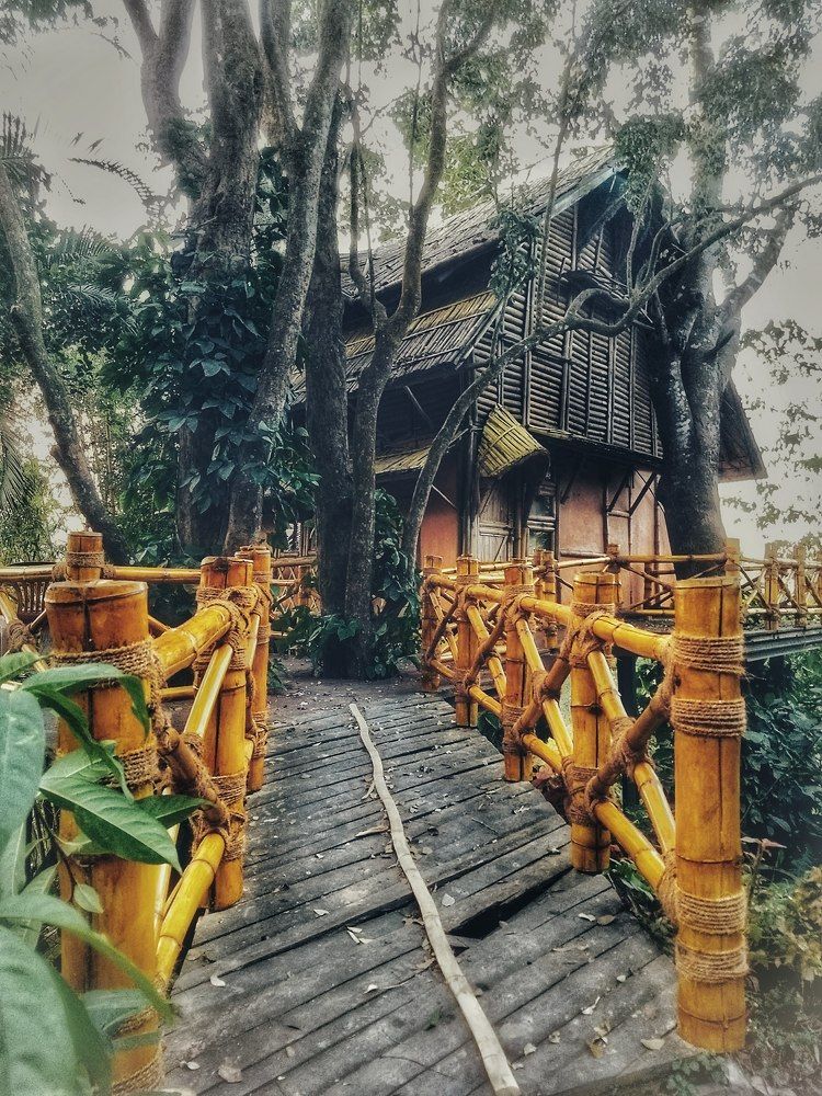Seek adventures