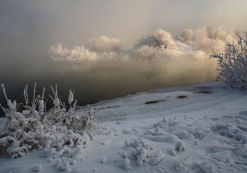 Холодный остров