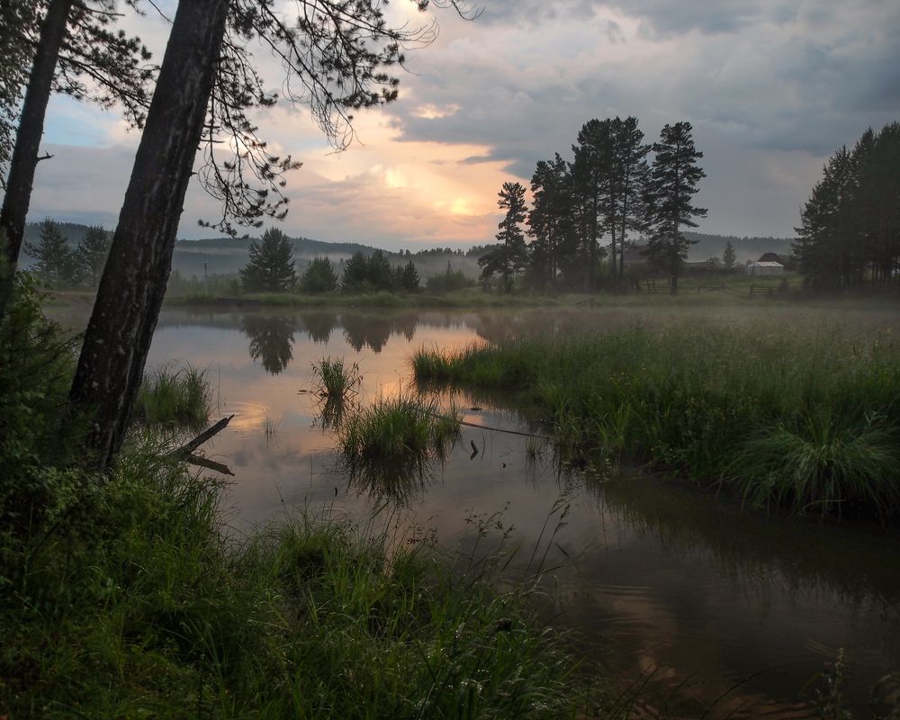 Рано утром на пруду