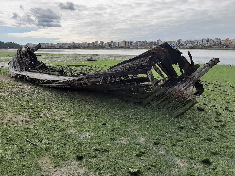 Barco