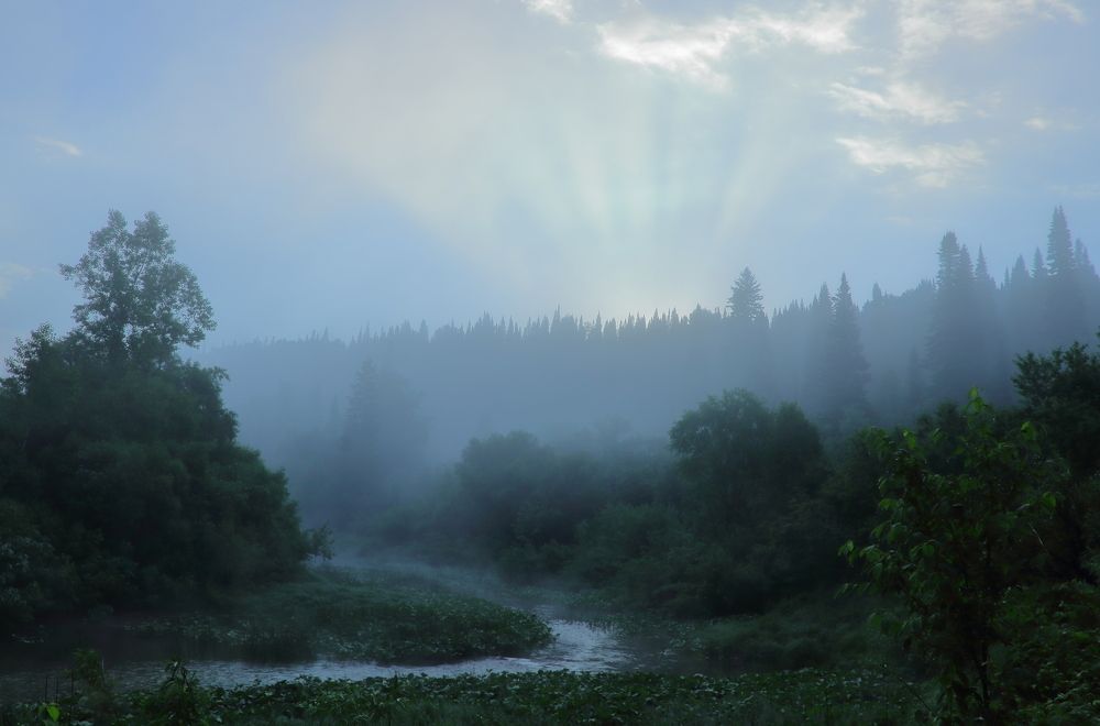 Туманный восход над тайгой