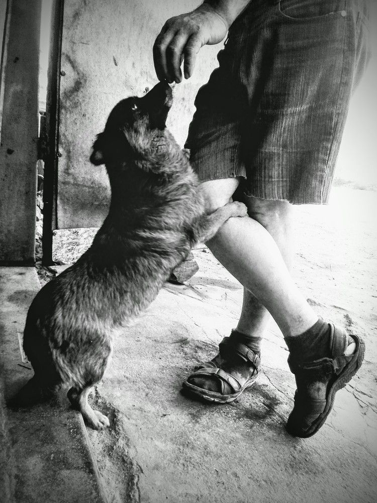 Photograph by ирина карпенко