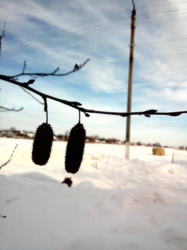 Photograph by ирина карпенко