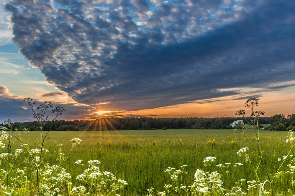 Волосы Солнца