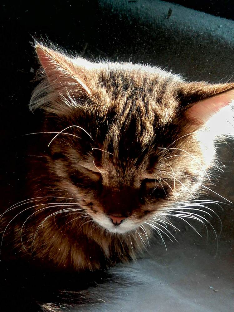 Photograph by ирина карпенко