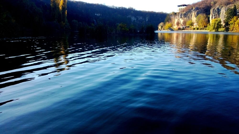 Photo #2986176