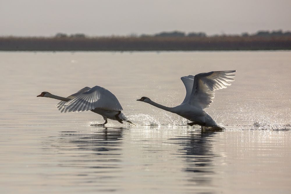 Photograph by Алексей Кашин