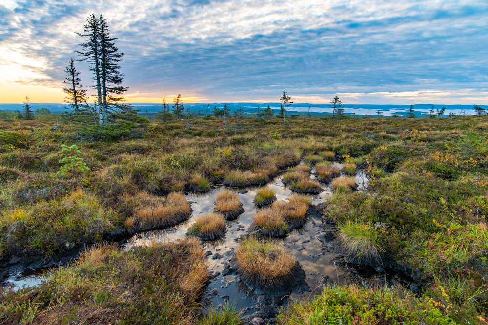 Finland-Riisitunturi