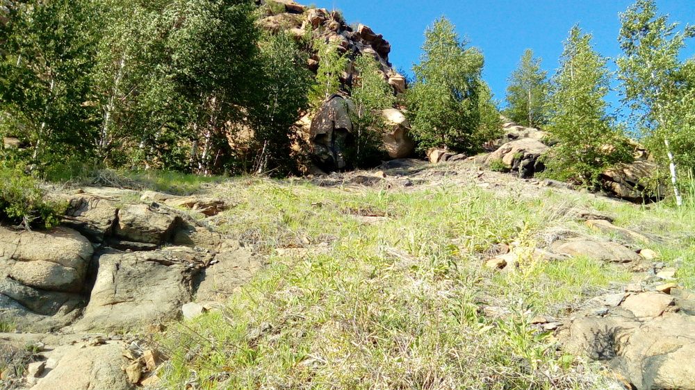 Тропа Ниндзя