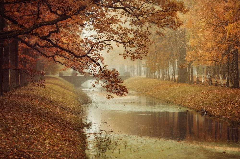 Александровский парк