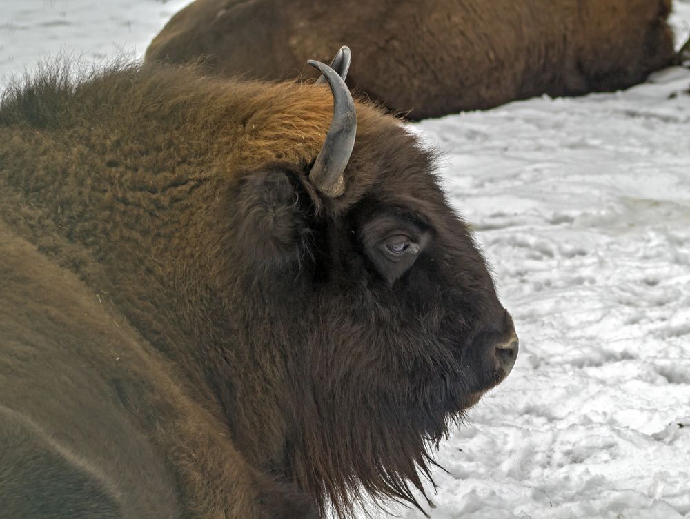 Портрет в интерьере