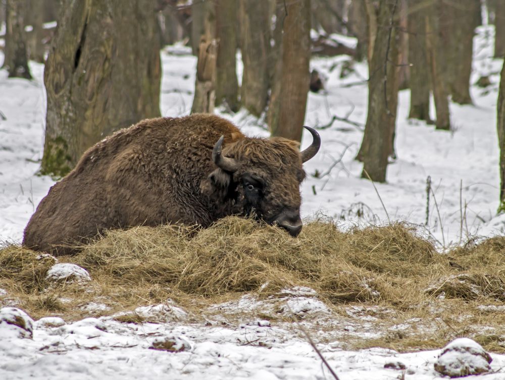 В гости, говоришь......