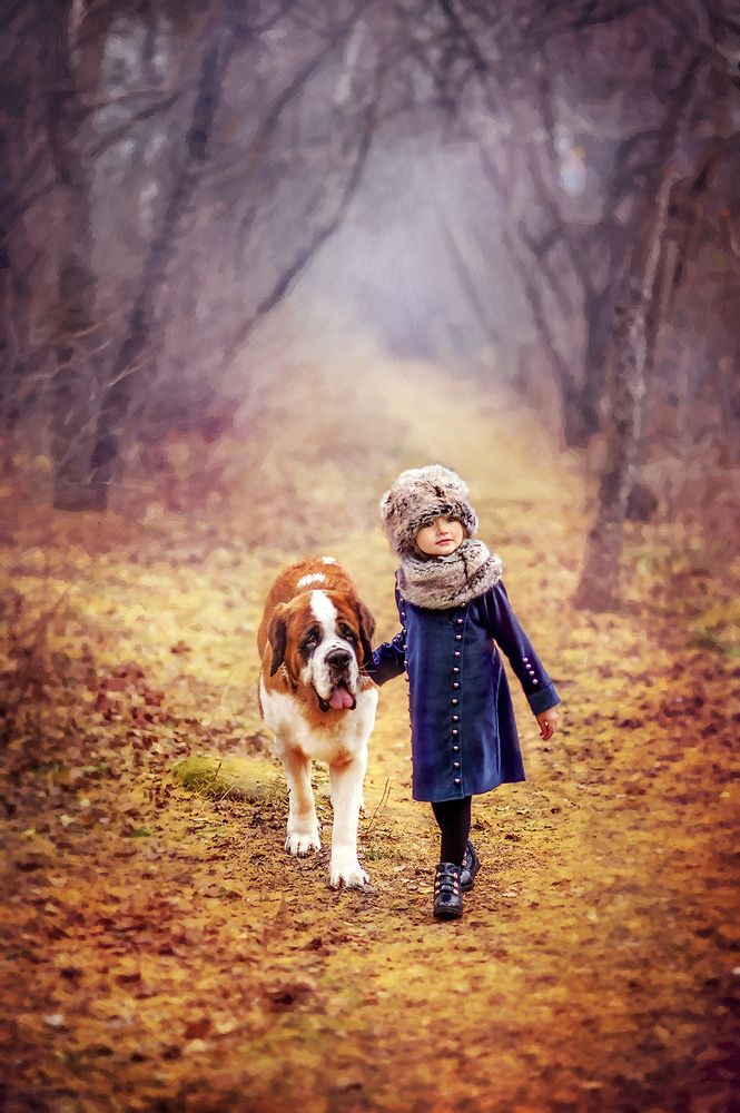 Прогулка поздней осенью