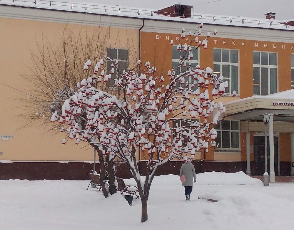 ЗИМА