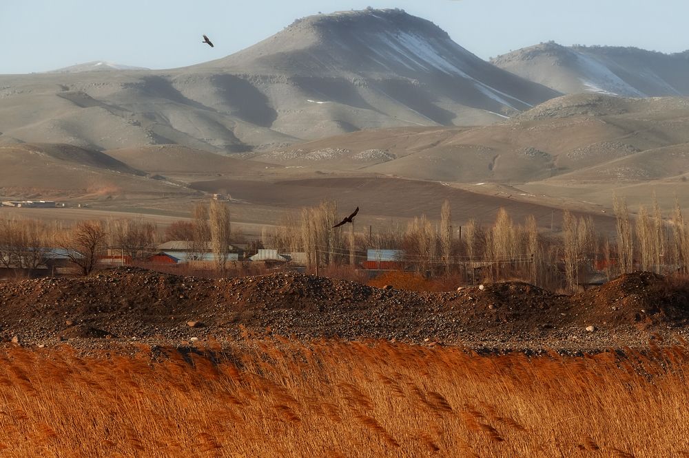 Photograph by Чунина Наталья