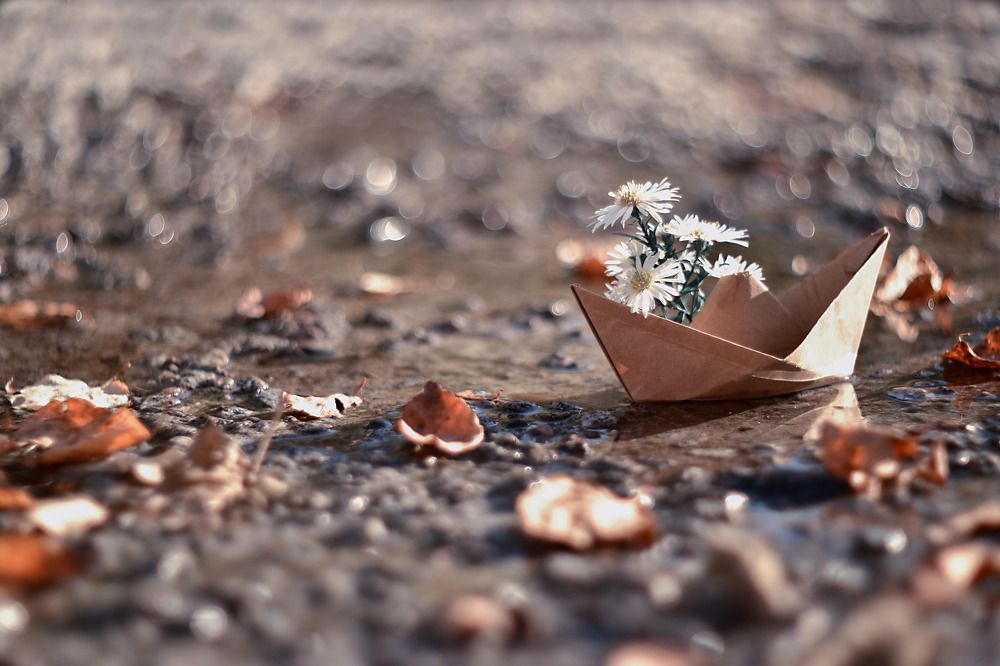 Photograph by Осколкова Елена