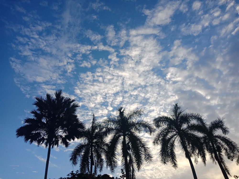 Blue Sky