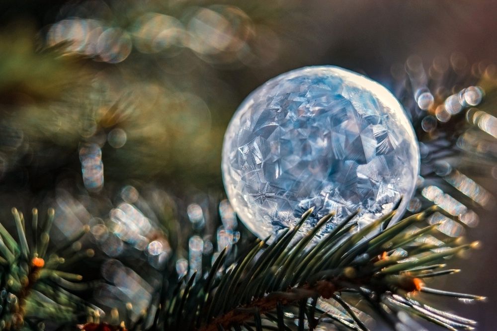 Photograph by Осколкова Елена