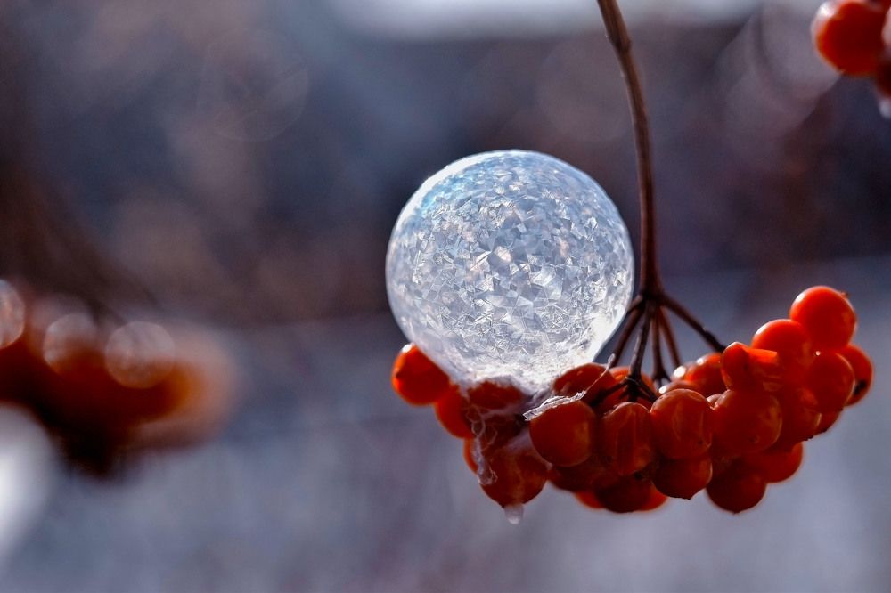 Photograph by Осколкова Елена