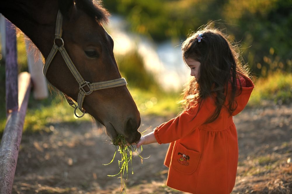 Photograph by Осколкова Елена