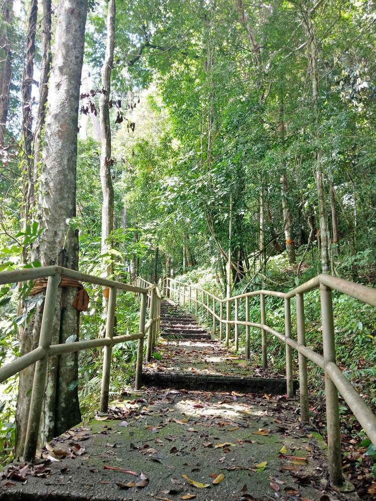 Stairs