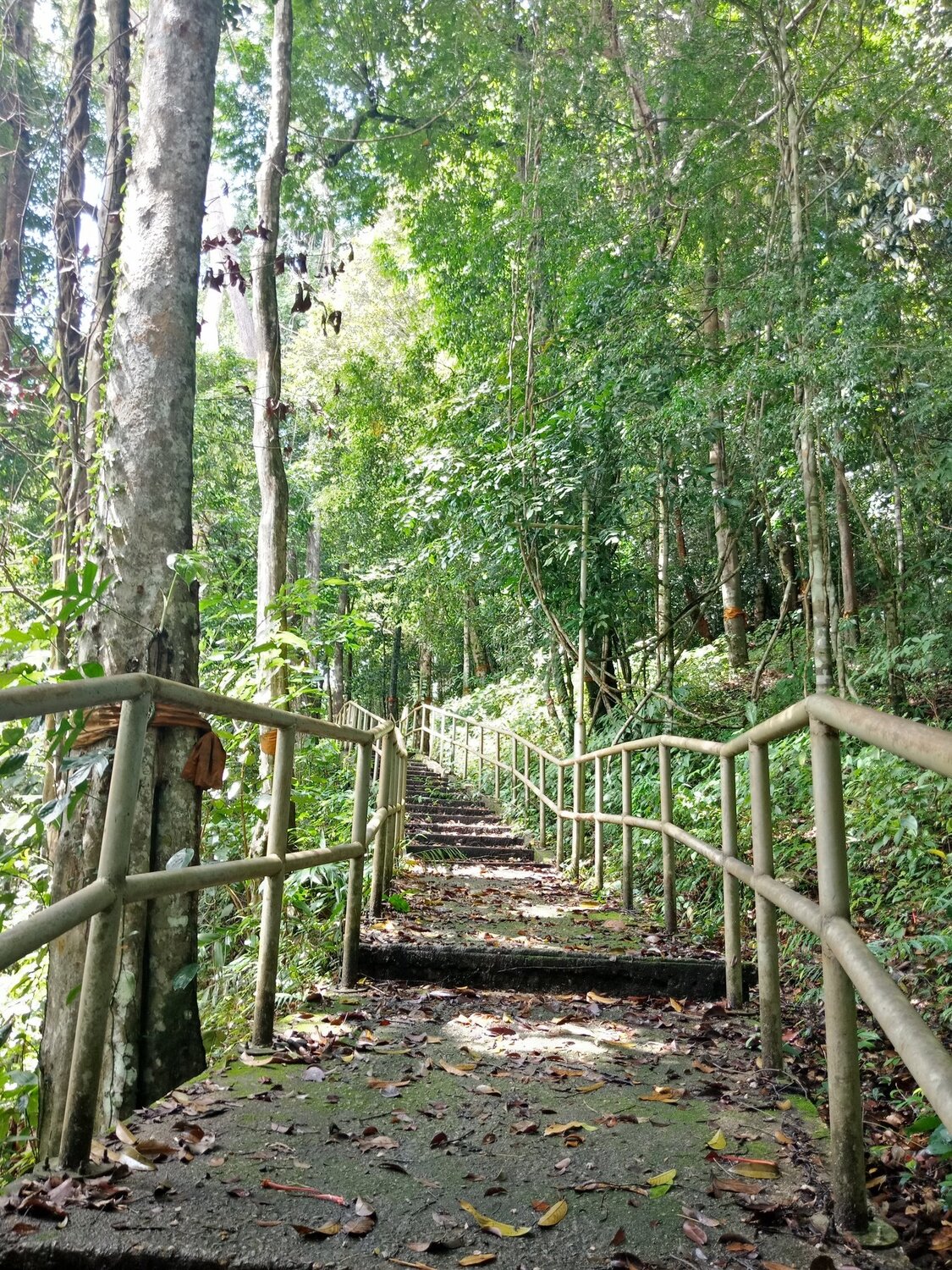Stairs