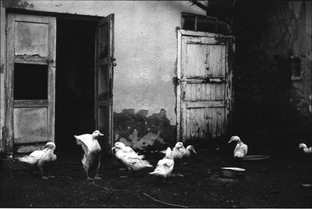 A Moment In A Small Universe