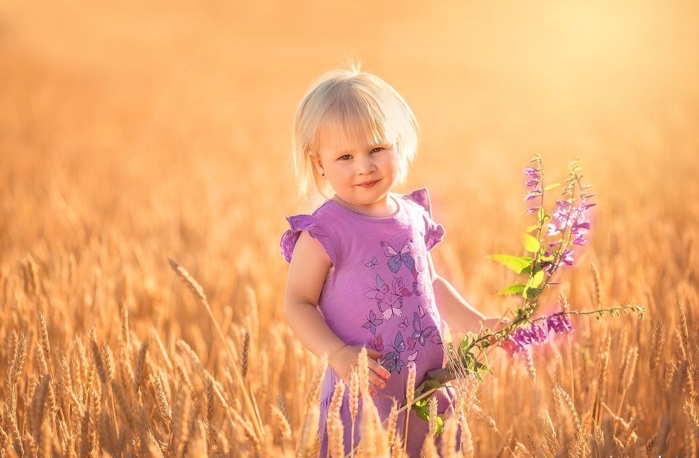 Пшеничные поля