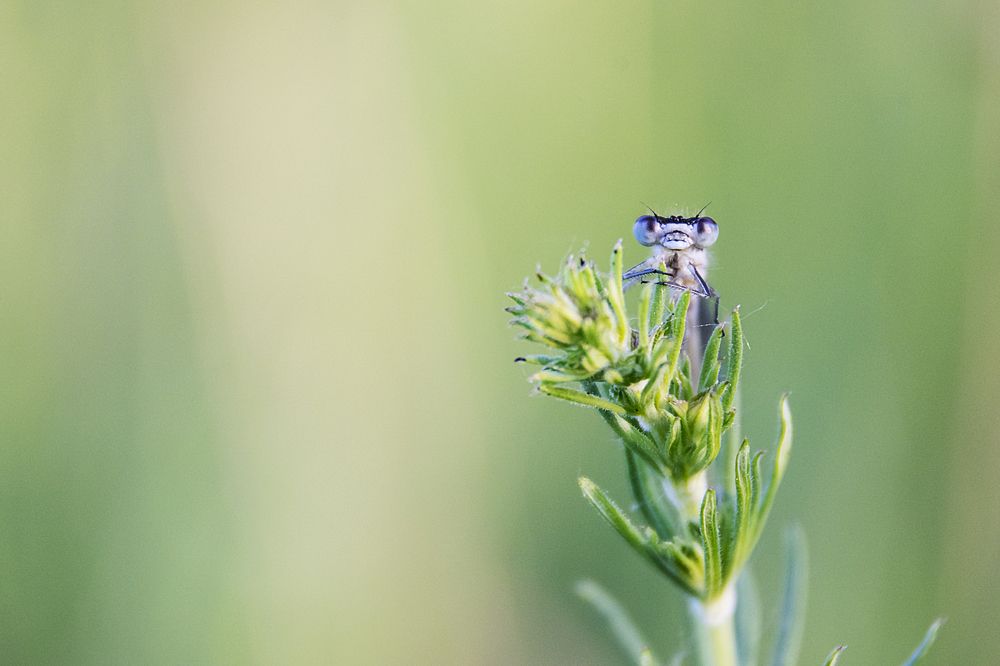 Да вы работайте, не отвлекайтесь. Я тут просто посижу, посмотрю..