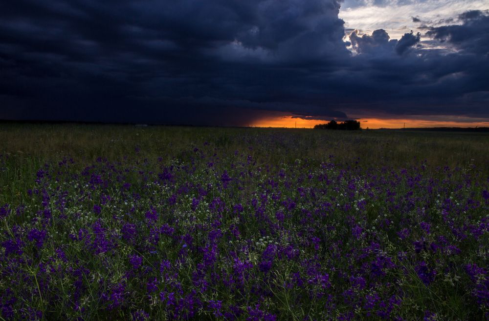 Оглядываясь в догонку шторму