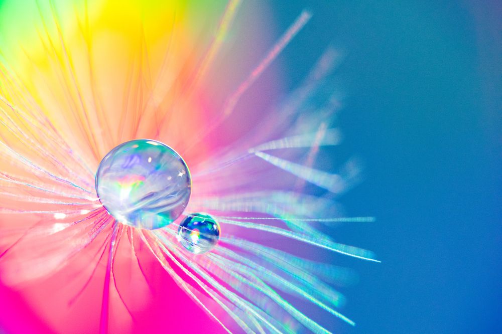 Photograph by Анастасия Гудкова