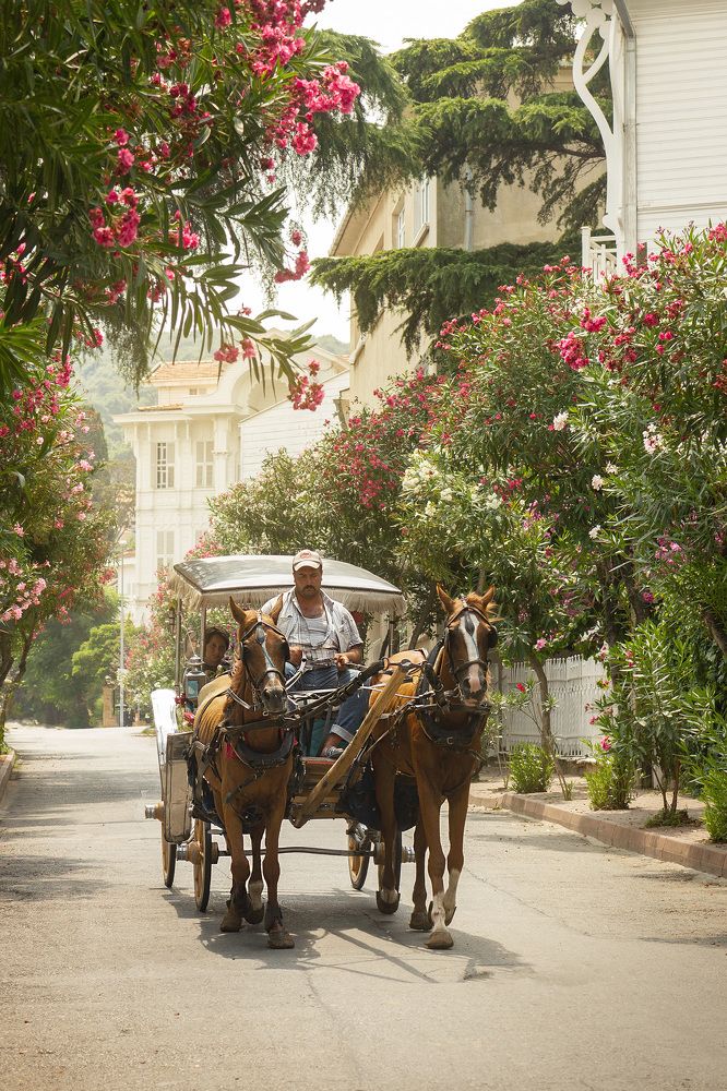 Photograph by Элла Пыхова