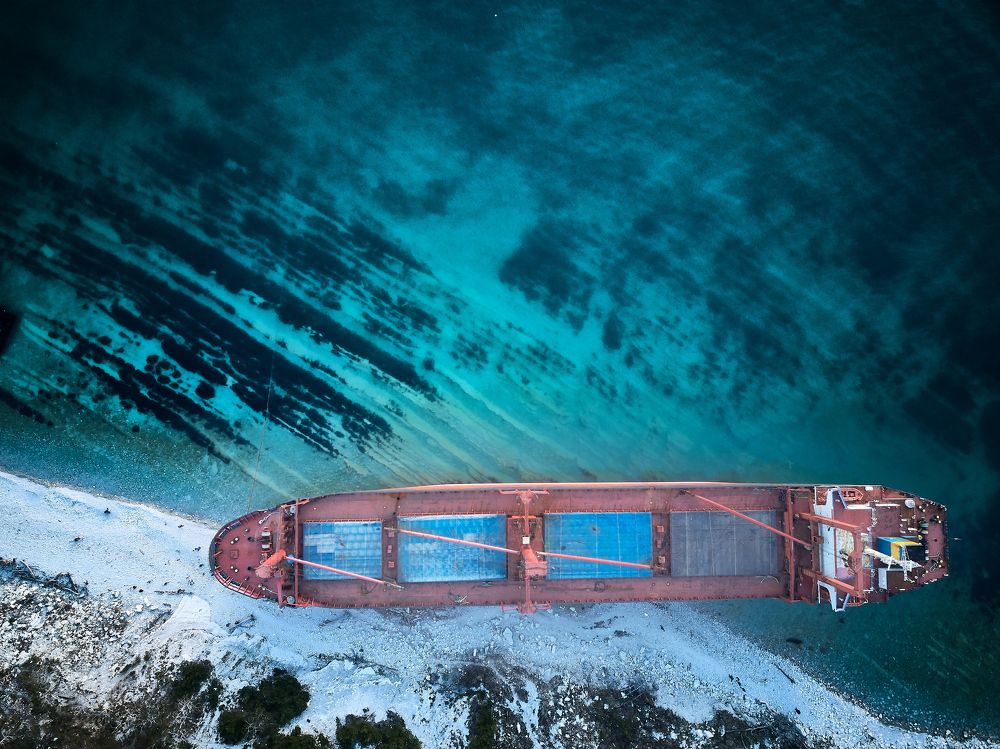 Морской гигант на берегу