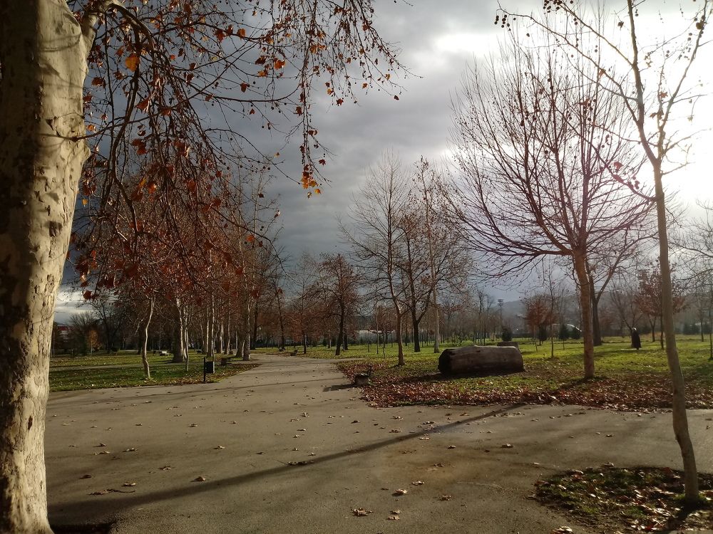 Park
