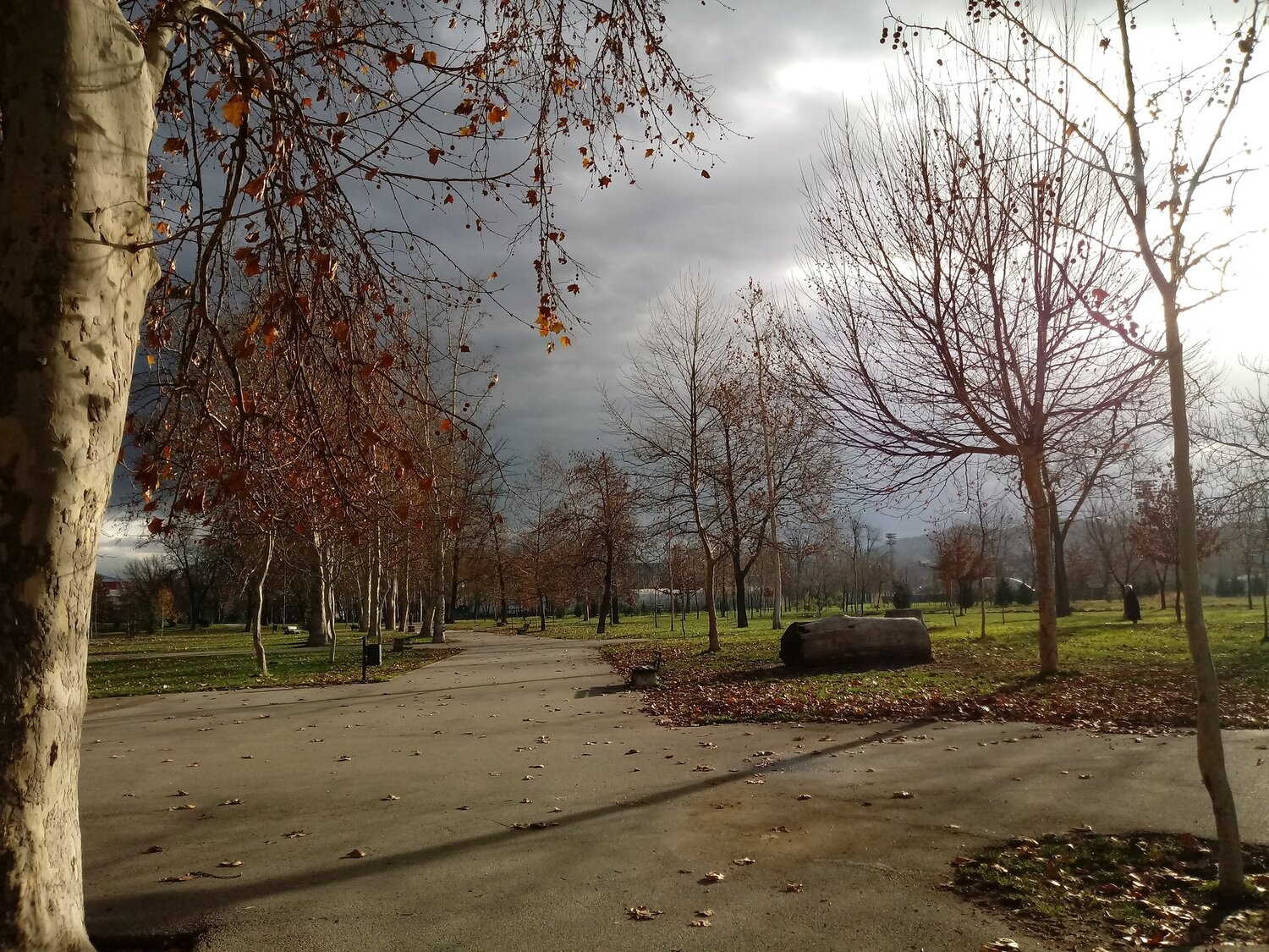 Park