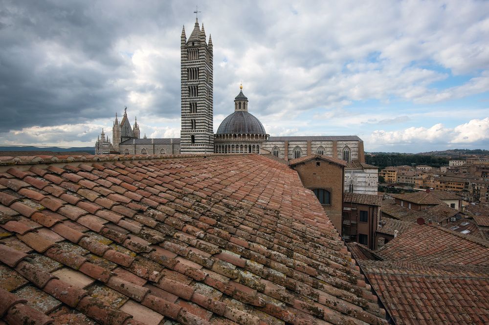 Фотография автора Сергей Сынтин