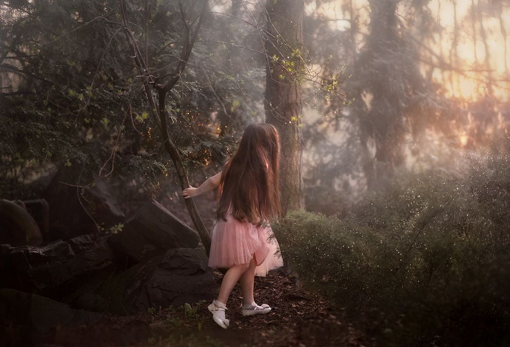 Там, на неведомых дорожках...