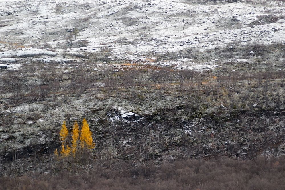 Последний рубеж