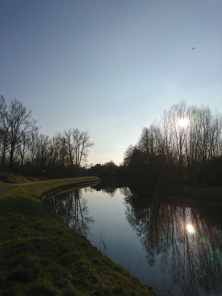 Reflection
