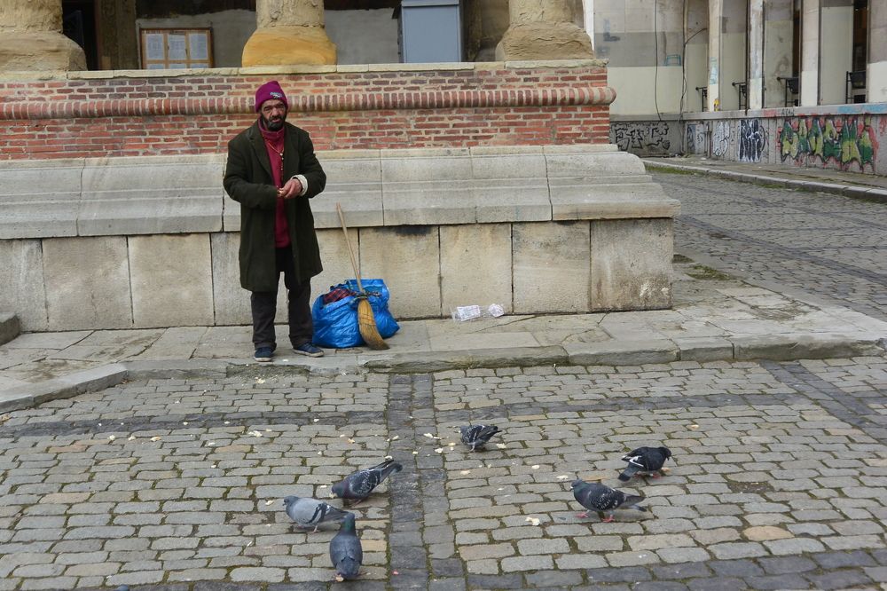 Senior feeding Pigeons