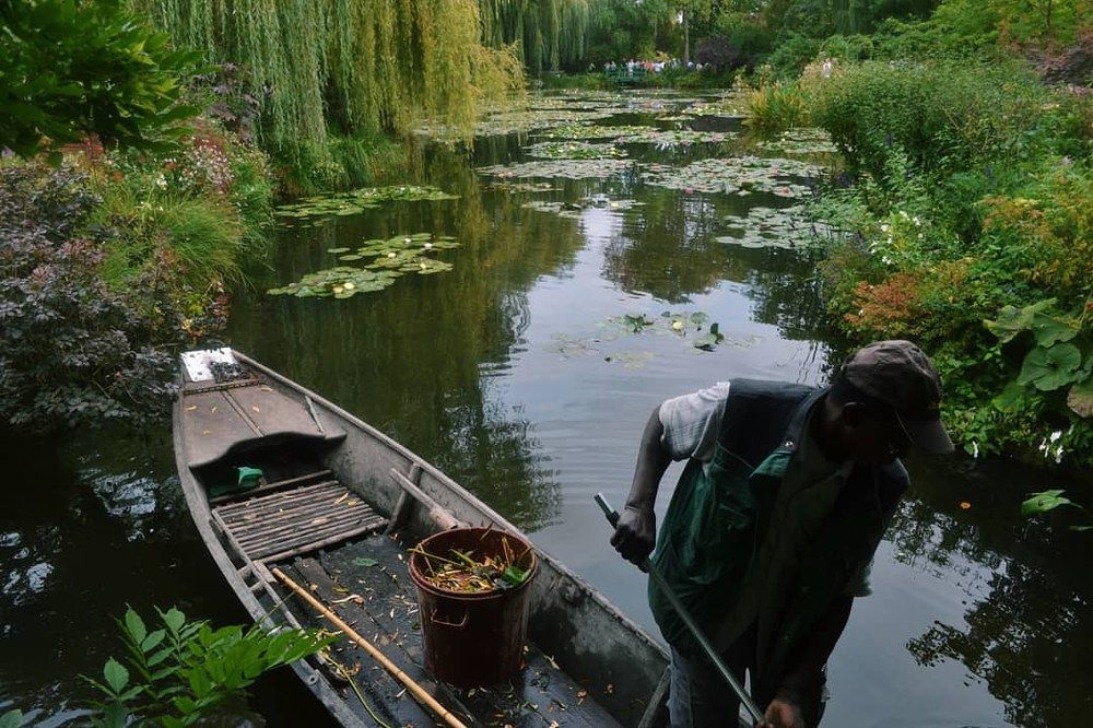 Water Lilies and Japanese Bridge