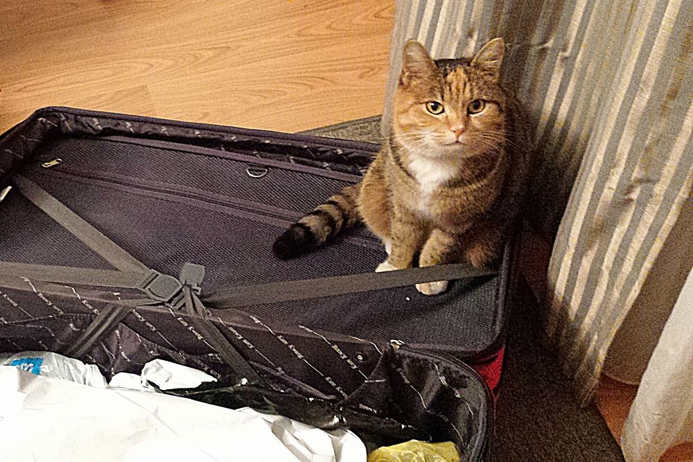 leaving again ... - опять уезжают...