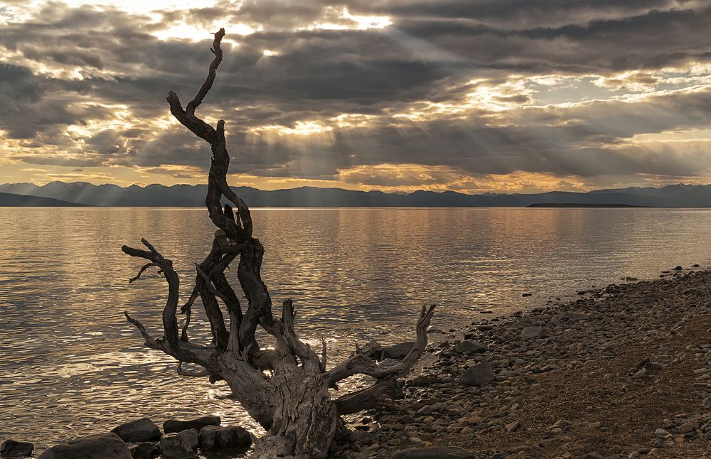 Evening on the mountain lake