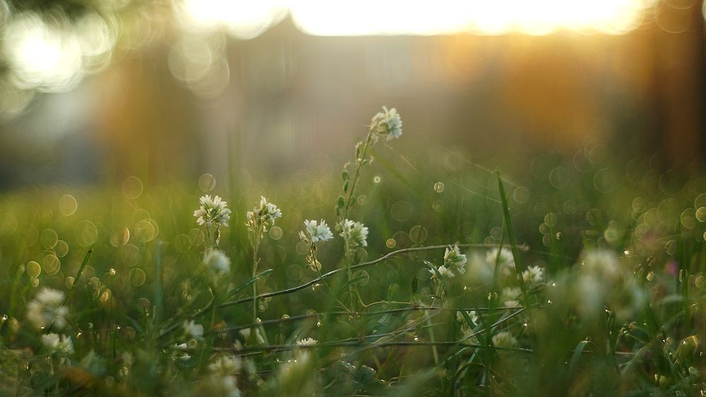 Photograph by Dzianis Mizhui