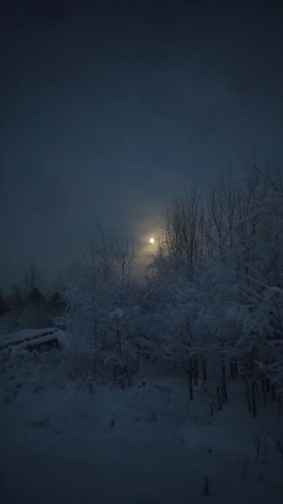 Зимняя луна