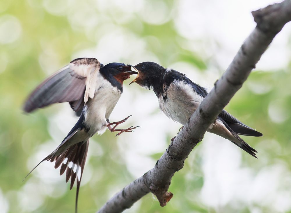 точная доставка