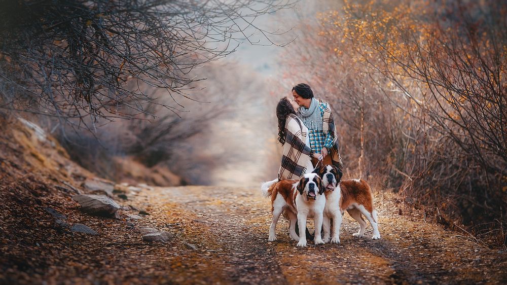 Photograph by valery vartanova