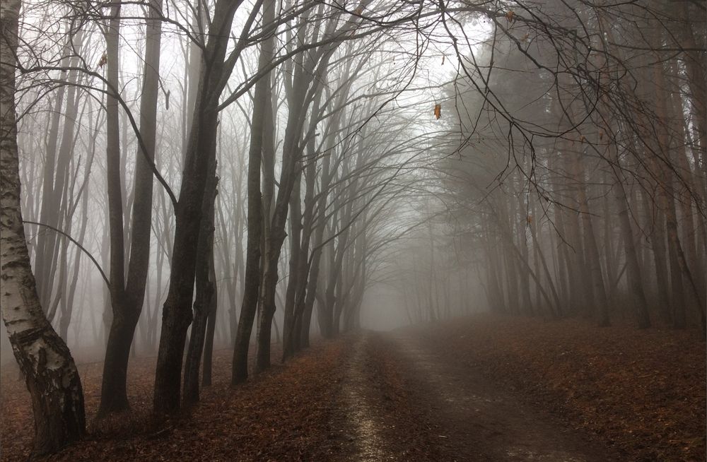 Старый парк