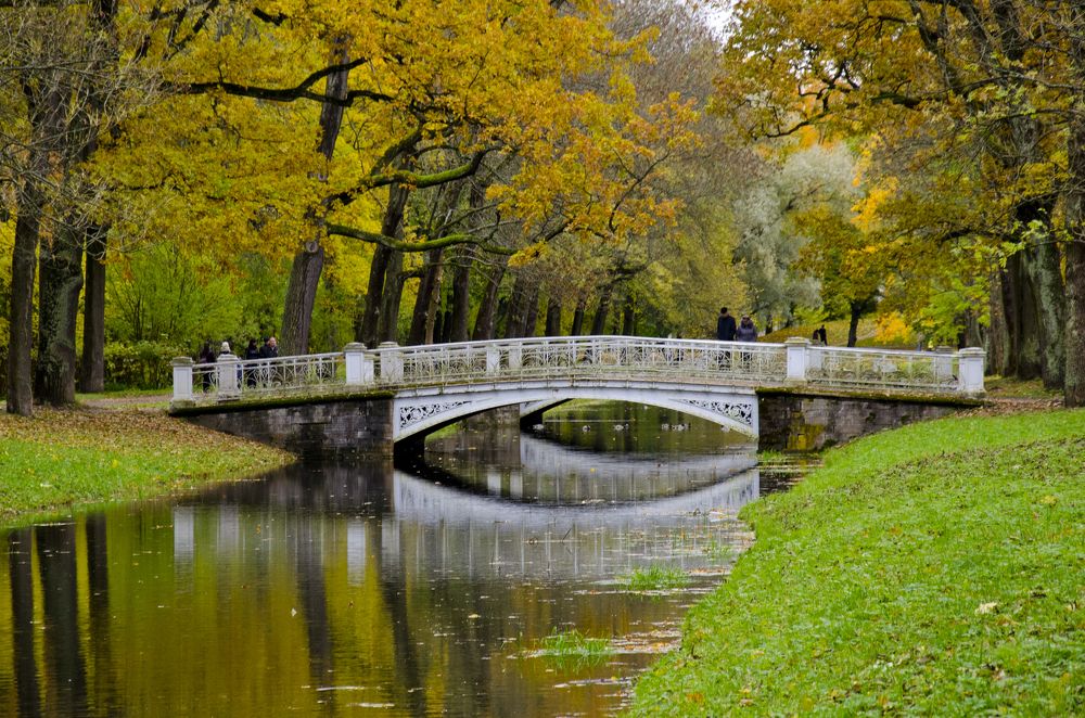 Осенняя пора